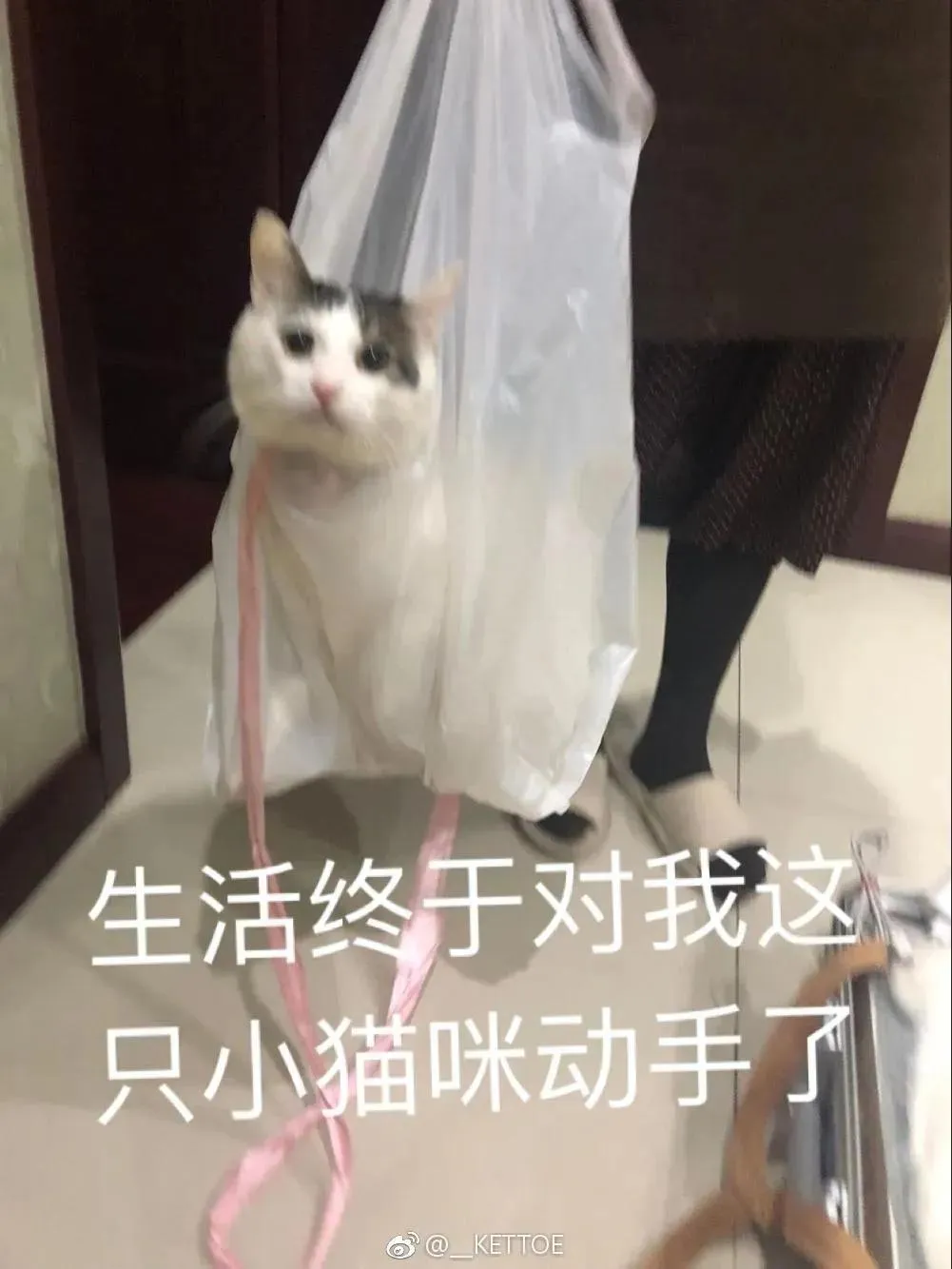 Kettoe – NO.01 微博配图[7] [88P]插图6